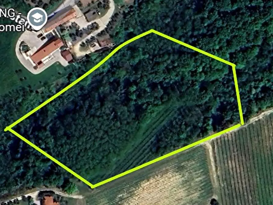 Immagine 16 di Terreno in vendita  in VIA FORESTANA a Cinto Euganeo