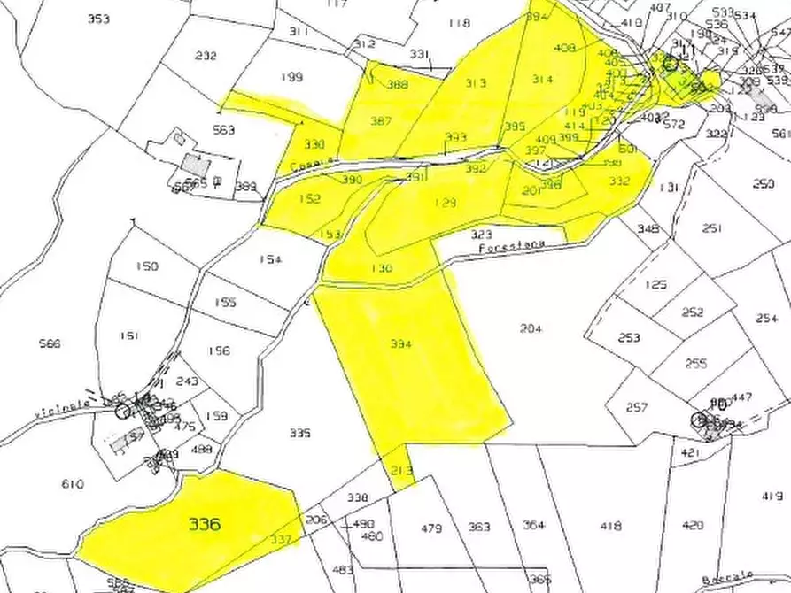 Immagine 17 di Terreno in vendita  in VIA FORESTANA a Cinto Euganeo