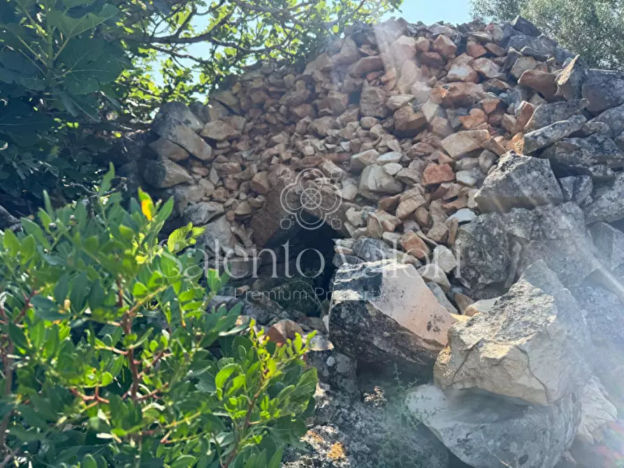 Immagine 3 di Terreno in vendita  in Strada Vicinale Barbuglia a Parabita