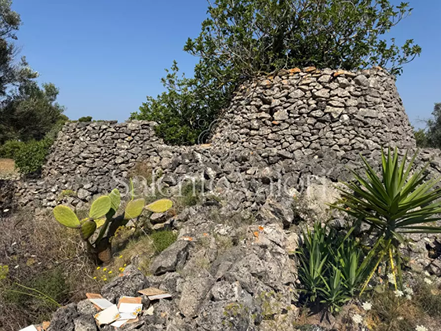 Immagine 4 di Terreno in vendita  in Strada Vicinale Barbuglia a Parabita