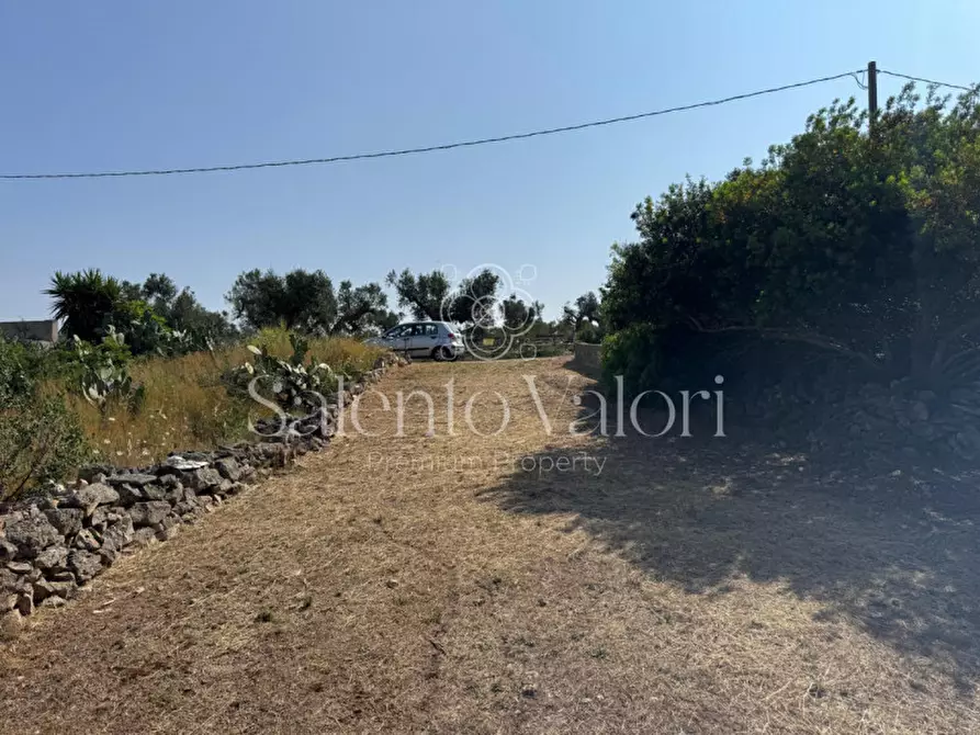 Immagine 5 di Terreno in vendita  in Strada Vicinale Barbuglia a Parabita