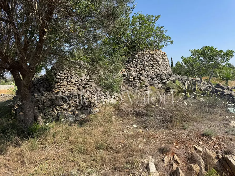 Immagine 6 di Terreno in vendita  in Strada Vicinale Barbuglia a Parabita