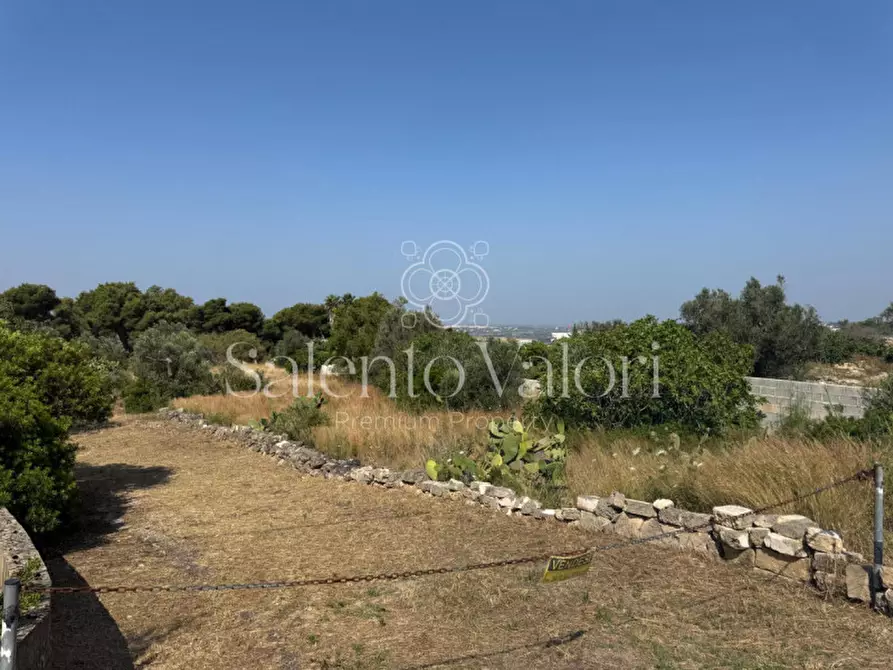 Immagine 8 di Terreno in vendita  in Strada Vicinale Barbuglia a Parabita