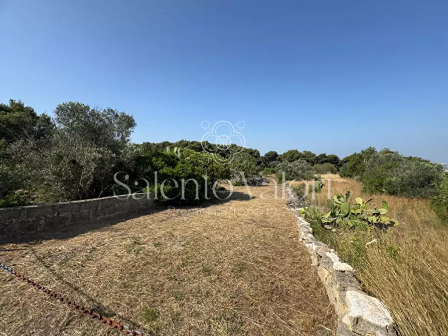 Immagine 9 di Terreno in vendita  in Strada Vicinale Barbuglia a Parabita