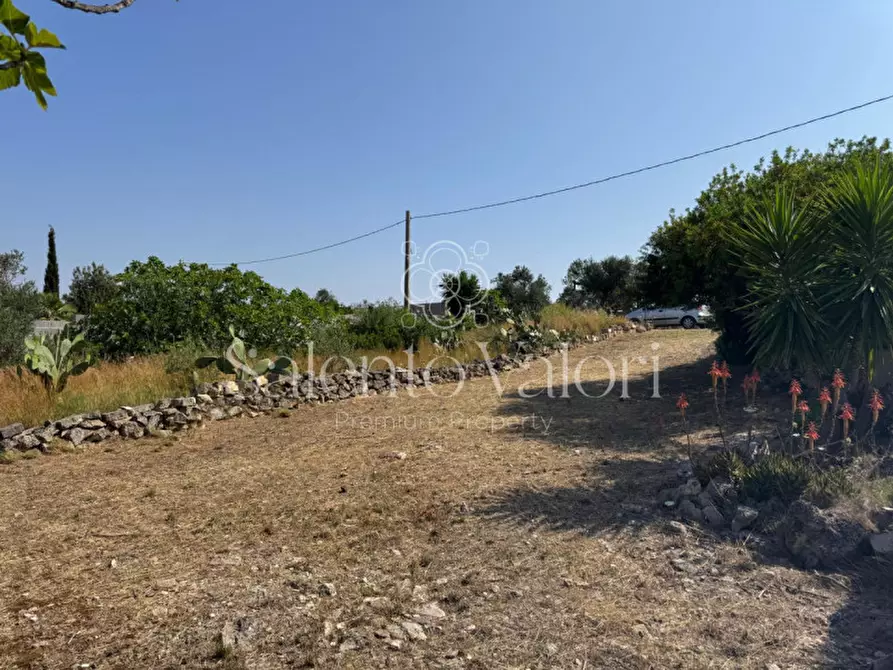 Immagine 13 di Terreno in vendita  in Strada Vicinale Barbuglia a Parabita