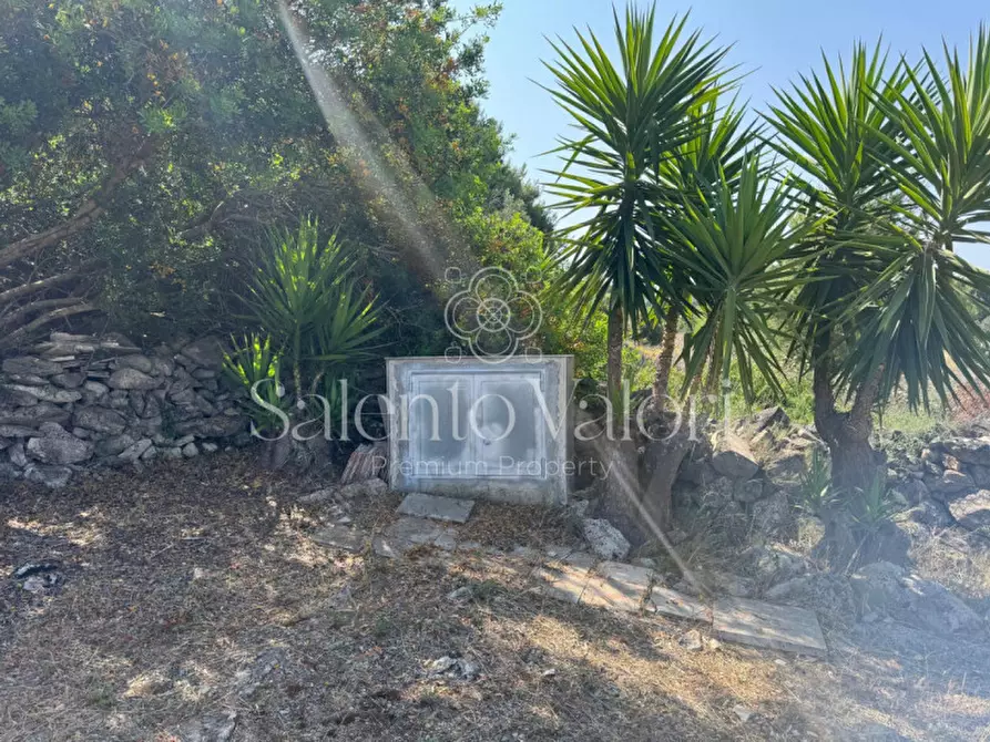 Immagine 14 di Terreno in vendita  in Strada Vicinale Barbuglia a Parabita