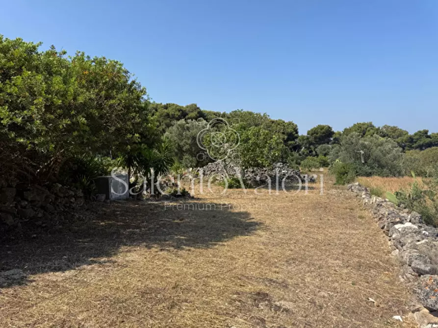 Immagine 14 di Terreno in vendita  in Strada Vicinale Barbuglia a Parabita