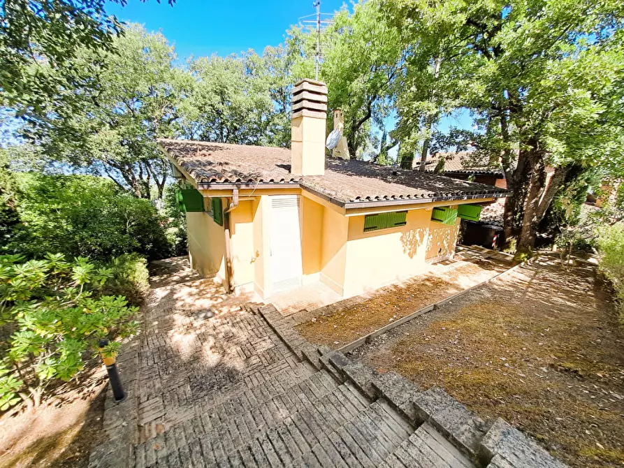 Immagine 2 di Villa in vendita  a Magione