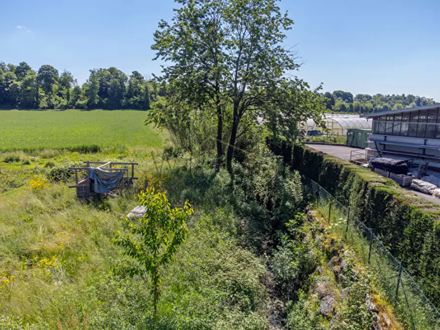 Immagine 7 di Terreno in vendita  in Via Baraggia a Albese Con Cassano
