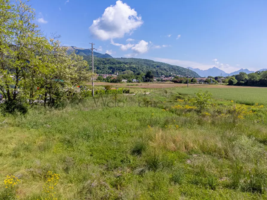 Immagine 8 di Terreno in vendita  in Via Baraggia a Albese Con Cassano