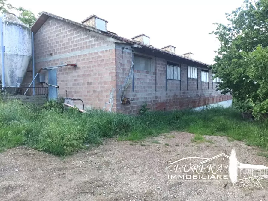 Immagine 1 di Capannone industriale in vendita  in Gioiella a Castiglione Del Lago