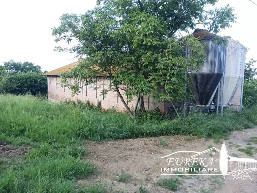 Immagine 2 di Capannone industriale in vendita  in Gioiella a Castiglione Del Lago