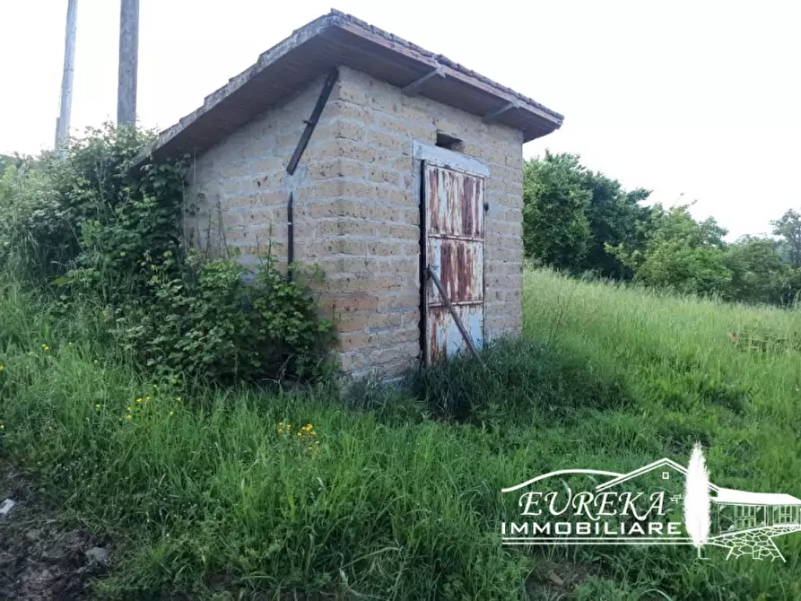Immagine 3 di Capannone industriale in vendita  in Gioiella a Castiglione Del Lago