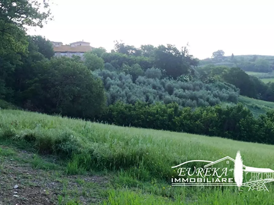 Immagine 4 di Capannone industriale in vendita  in Gioiella a Castiglione Del Lago