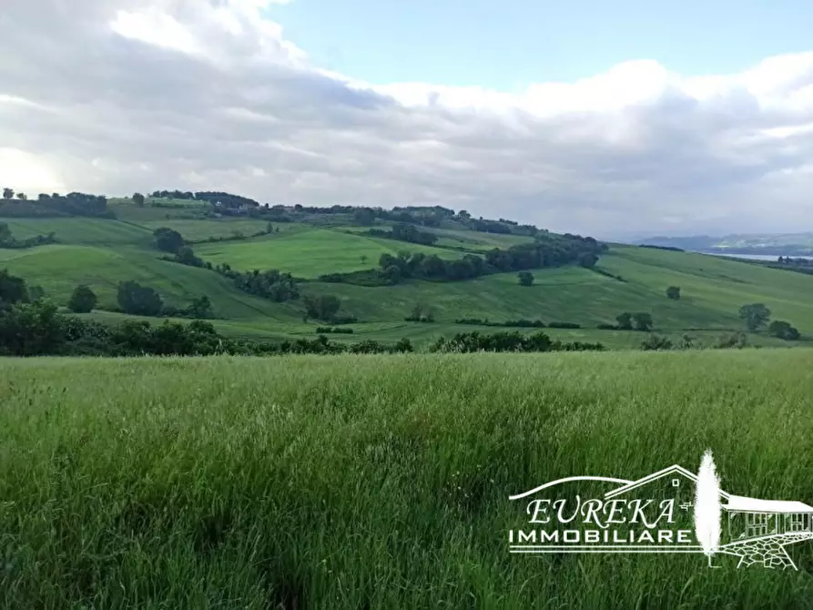 Immagine 5 di Capannone industriale in vendita  in Gioiella a Castiglione Del Lago
