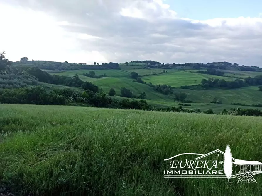 Immagine 6 di Capannone industriale in vendita  in Gioiella a Castiglione Del Lago