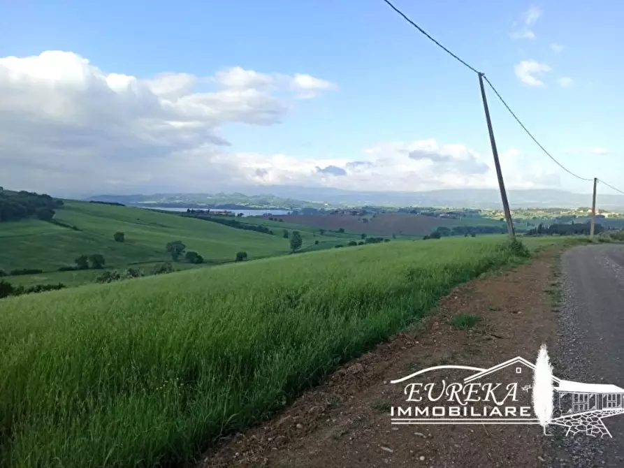 Immagine 7 di Capannone industriale in vendita  in Gioiella a Castiglione Del Lago