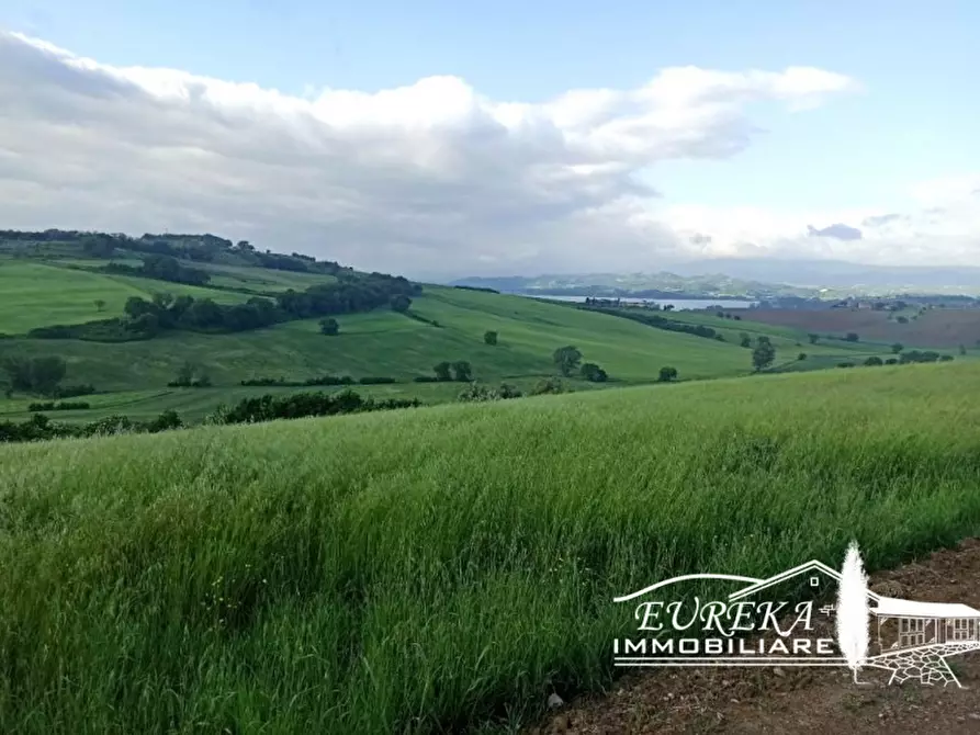 Immagine 8 di Capannone industriale in vendita  in Gioiella a Castiglione Del Lago