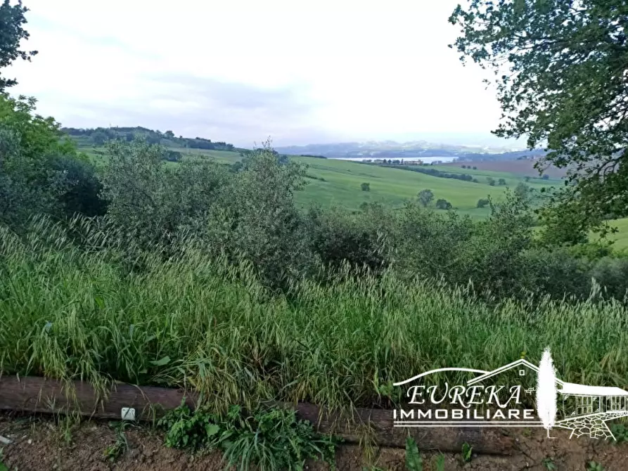 Immagine 9 di Capannone industriale in vendita  in Gioiella a Castiglione Del Lago