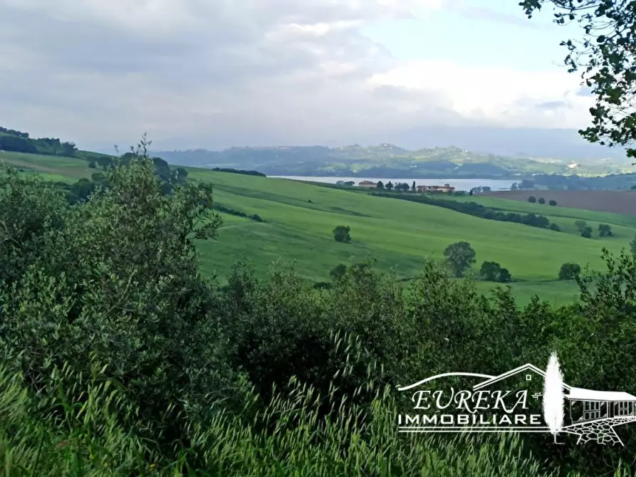 Immagine 10 di Capannone industriale in vendita  in Gioiella a Castiglione Del Lago