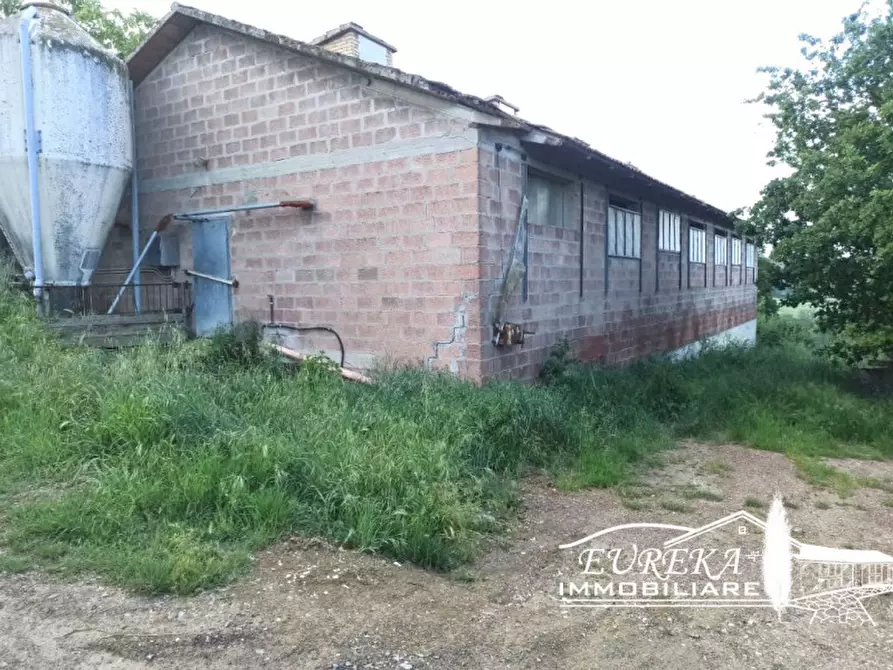 Immagine 11 di Capannone industriale in vendita  in Gioiella a Castiglione Del Lago