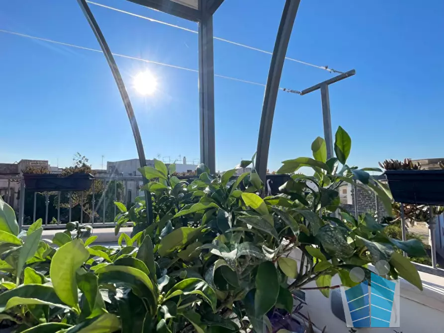 Immagine 31 di Casa indipendente in vendita  in Via Montello a Poggiardo