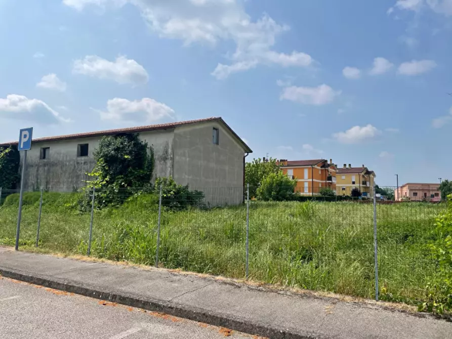 Immagine 3 di Terreno in vendita  in Via Roma a Tribano
