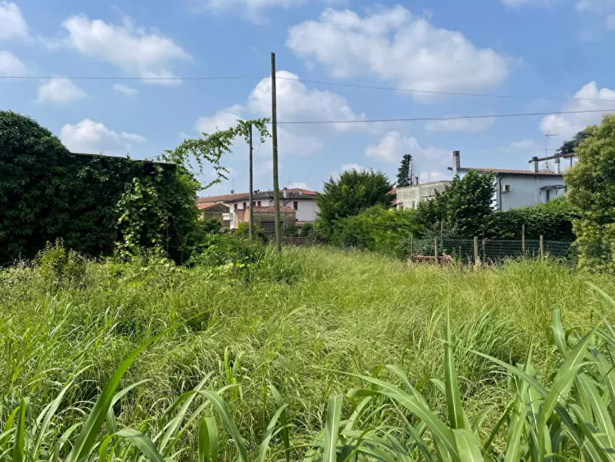 Immagine 4 di Terreno in vendita  in Via Roma a Tribano