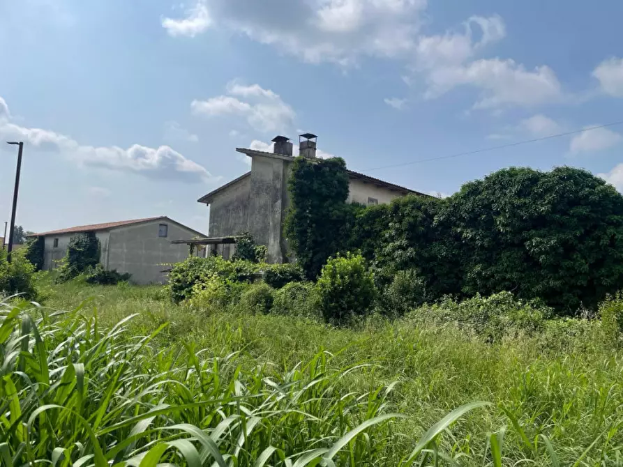 Immagine 5 di Terreno in vendita  in Via Roma a Tribano