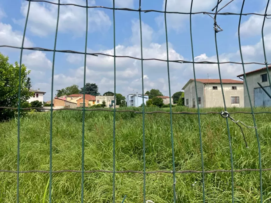 Immagine 6 di Terreno in vendita  in Via Roma a Tribano