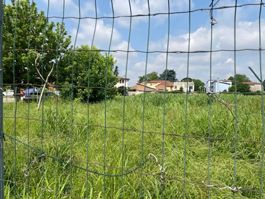 Immagine 7 di Terreno in vendita  in Via Roma a Tribano