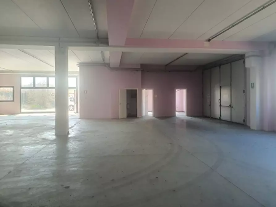 Immagine 7 di Capannone industriale in vendita  in Strada Statale Romea 27 a Porto Viro
