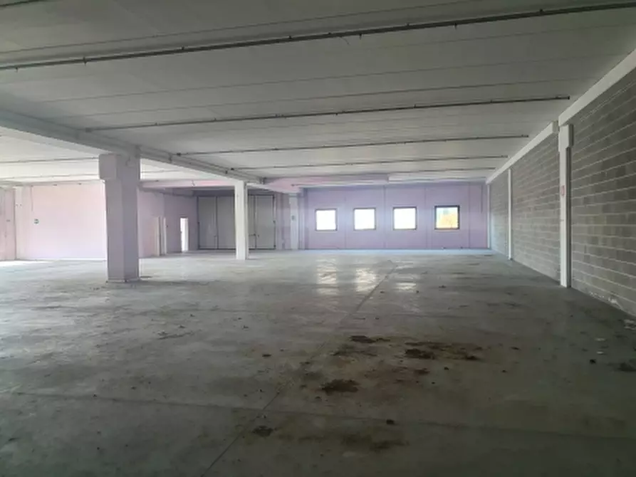 Immagine 11 di Capannone industriale in vendita  in Strada Statale Romea 27 a Porto Viro