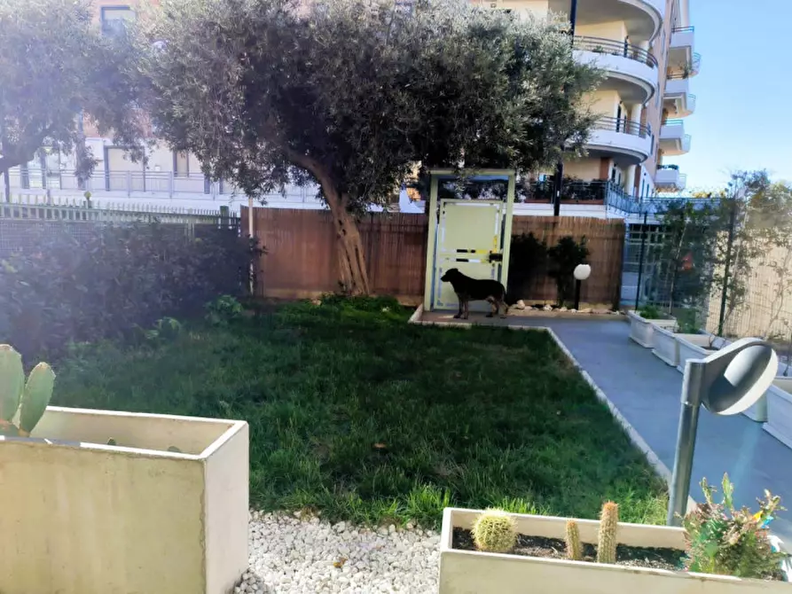 Immagine 16 di Appartamento in vendita  in Via Maddalena 71 a Vasto