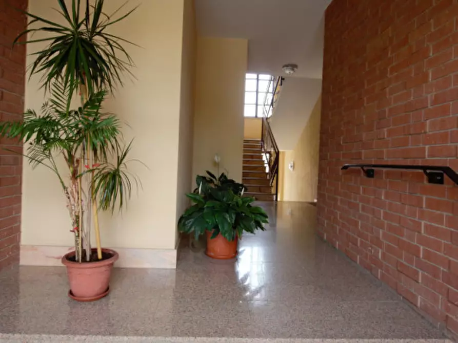 Immagine 4 di Appartamento in vendita  in Via Trieste, 133 a Bosconero