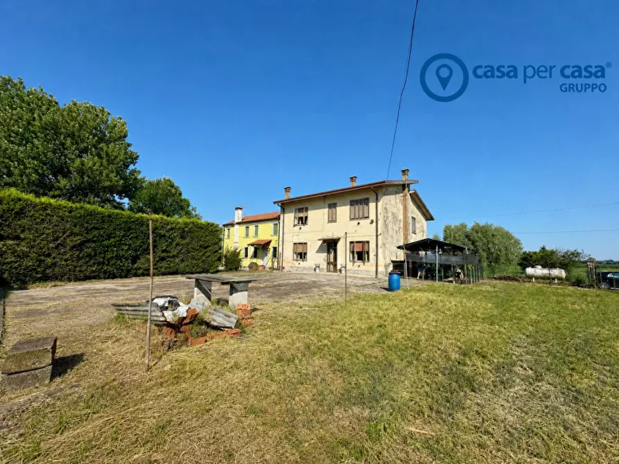 Immagine 3 di Casa bifamiliare in vendita  in Papozze, Via Peschiera a Papozze