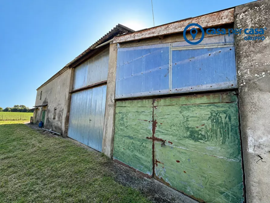 Immagine 21 di Casa bifamiliare in vendita  in Papozze, Via Peschiera a Papozze