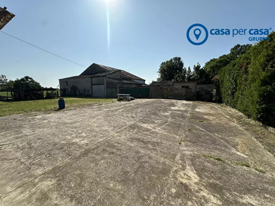 Immagine 18 di Casa bifamiliare in vendita  in Papozze, Via Peschiera a Papozze