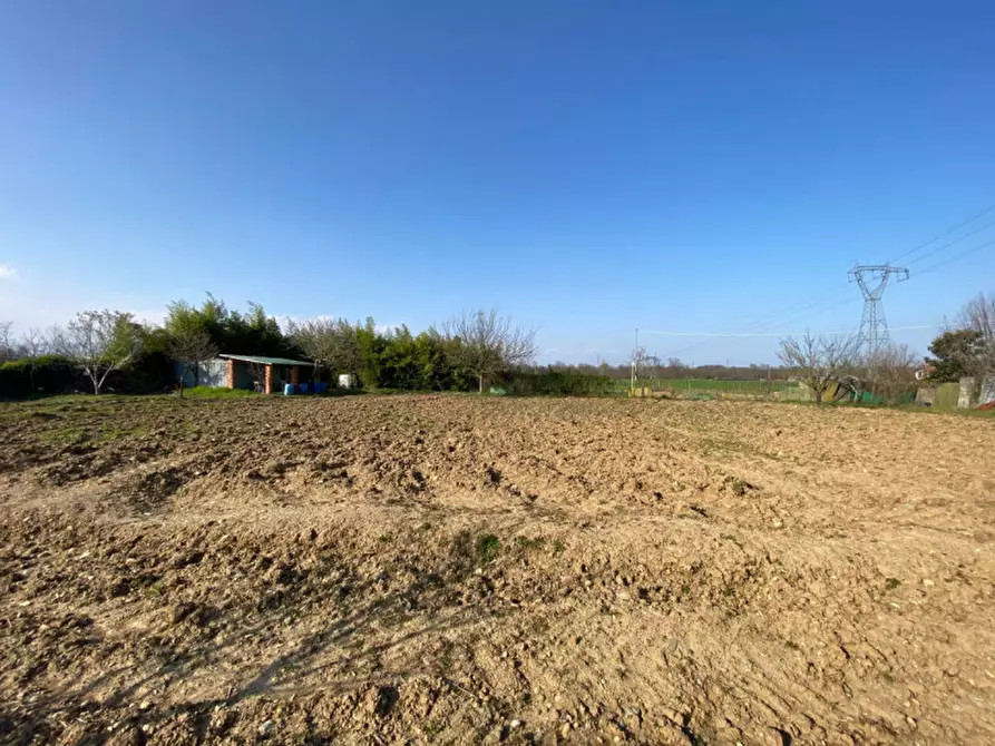 Immagine 3 di Terreno in vendita  a Leini