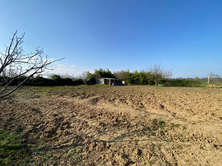 Immagine 4 di Terreno in vendita  a Leini