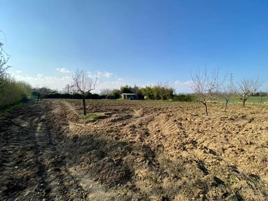 Immagine 5 di Terreno in vendita  a Leini