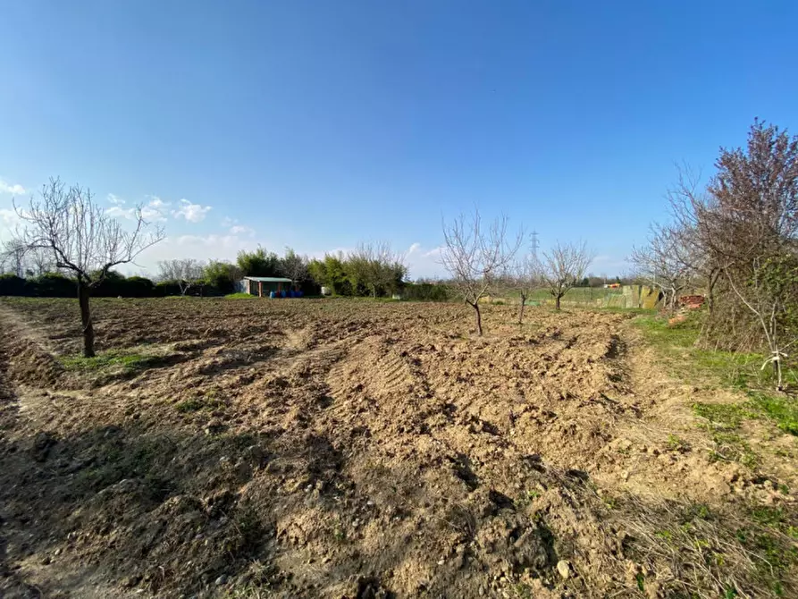 Immagine 6 di Terreno in vendita  a Leini