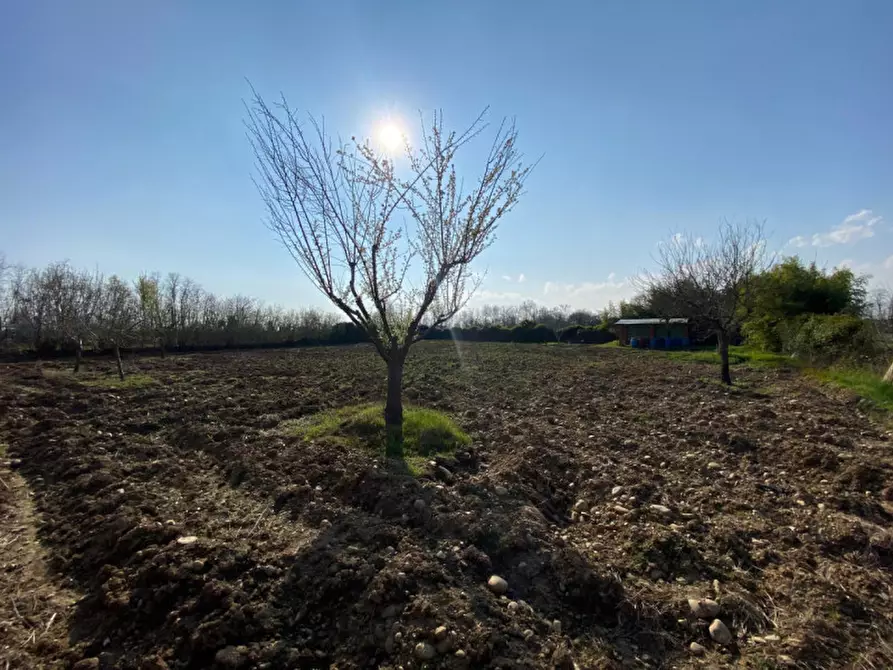 Immagine 7 di Terreno in vendita  a Leini