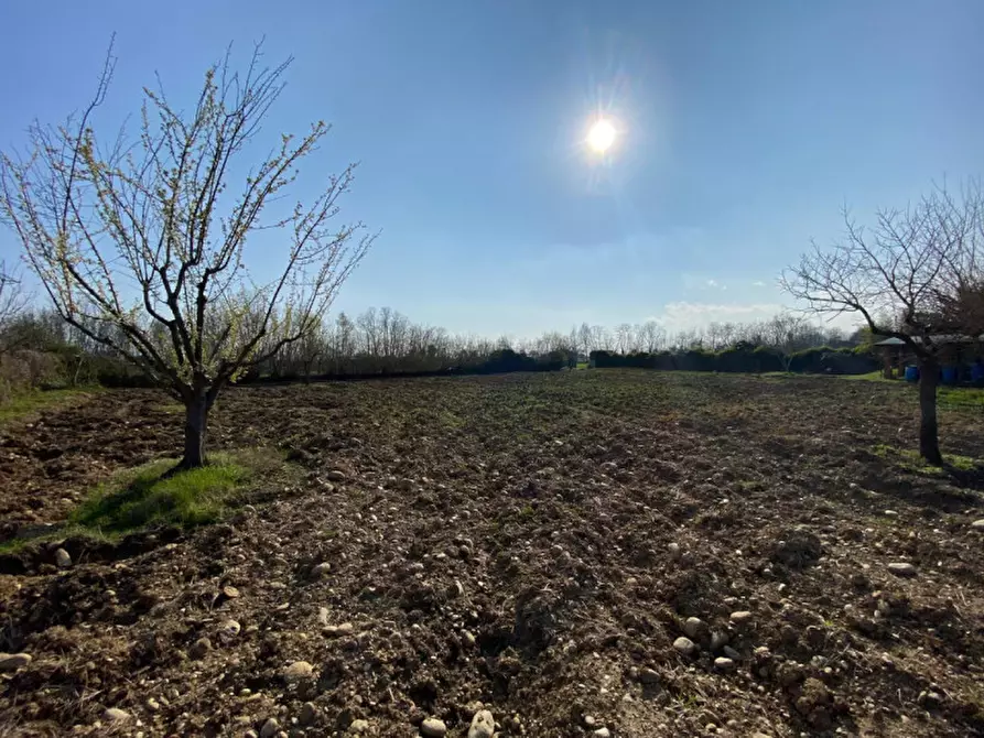 Immagine 8 di Terreno in vendita  a Leini