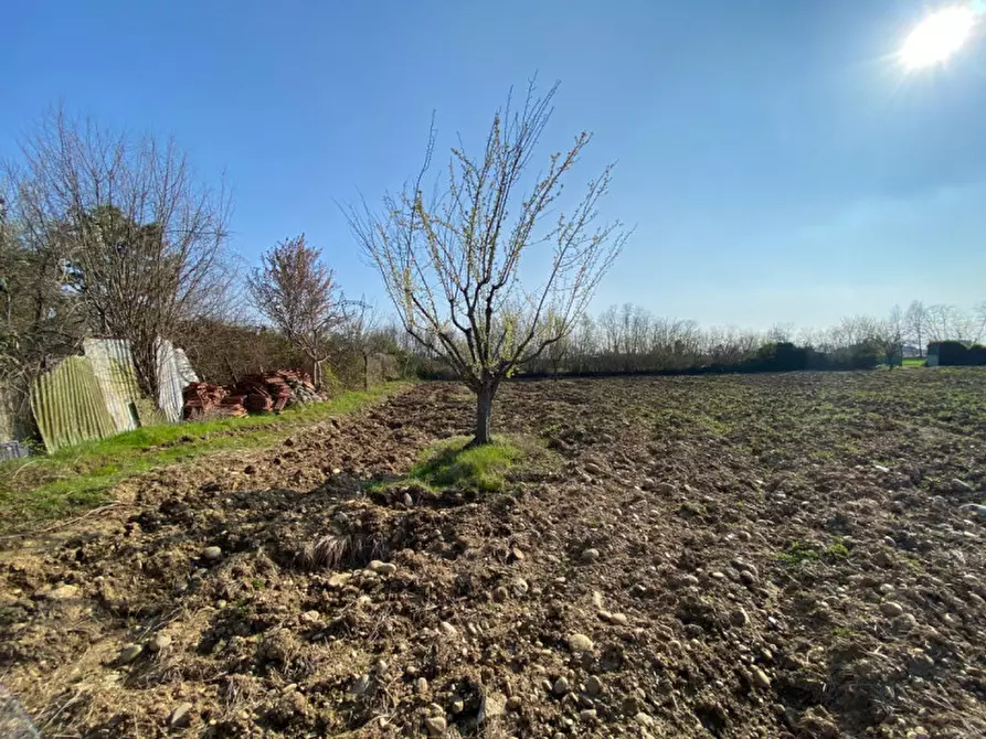 Immagine 9 di Terreno in vendita  a Leini