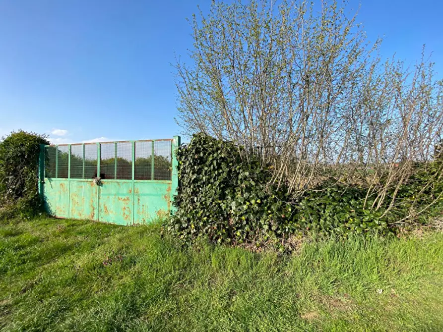 Immagine 10 di Terreno in vendita  a Leini