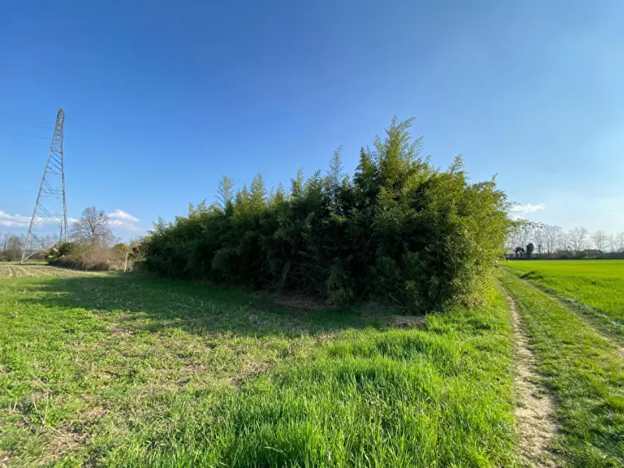 Immagine 11 di Terreno in vendita  a Leini