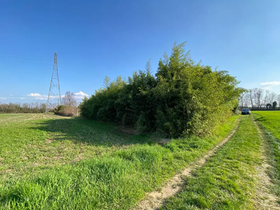 Immagine 12 di Terreno in vendita  a Leini