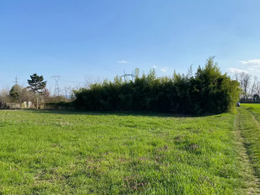 Immagine 13 di Terreno in vendita  a Leini
