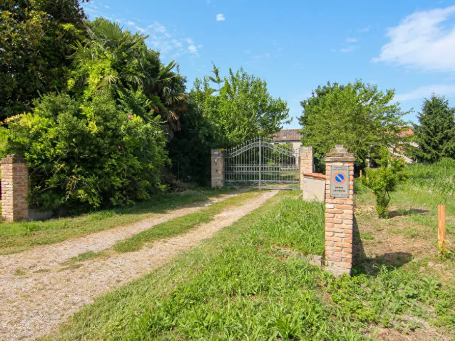 Immagine 3 di Rustico / casale in vendita  in Via Umberto I a Arzergrande